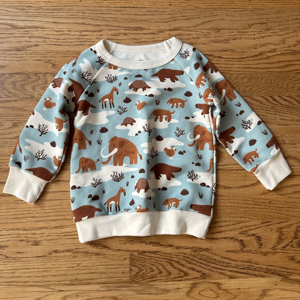 NWOT Winter Water Factory Toddler Sweatshirt